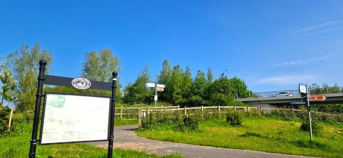 How to Find a Job in the Irish Midlands: Step-by-Step Guide